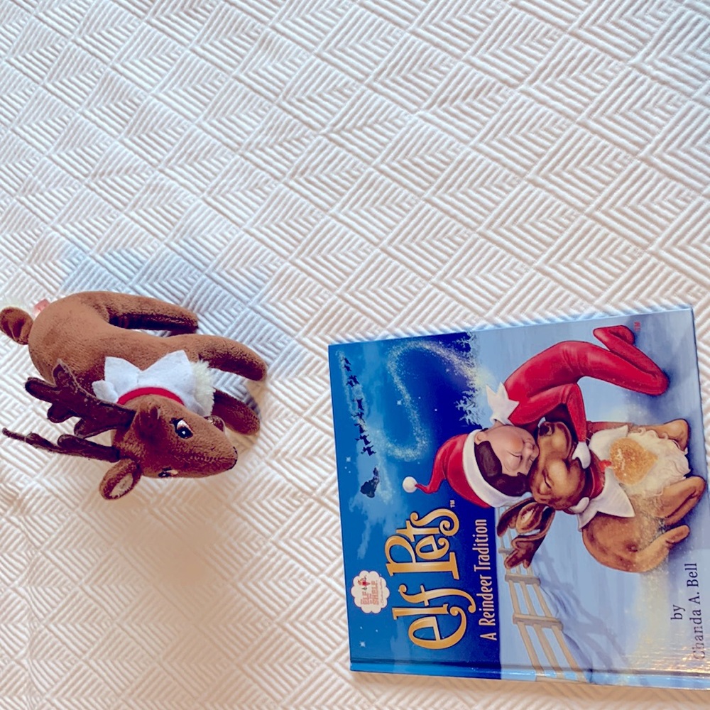 Elf on the shelf a reindeer tradition